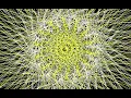 Generative Spiral Art Processing