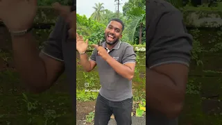 Https Www Instagram Com Reel DMAdGpFS3wU Igsh MTRvbjFiczJ6ODY4 