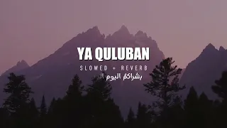                                                  عبدالله السناني   يا قلوبا دندنها