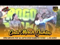 CINTA MERAH JAMBU || RENA MOVIES feat ROGO SAMBOYO PUTRO Live Tanjungwadung Jombang 2025