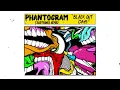 Download Lagu Phantogram, Subtronics - Black Out Days (Subtronics Remix / Visualizer)