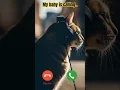 #ringtone #smartphone #ringtones #cat #ringintone #funny #love #dreamscreenai #cat #DreamScreenAI