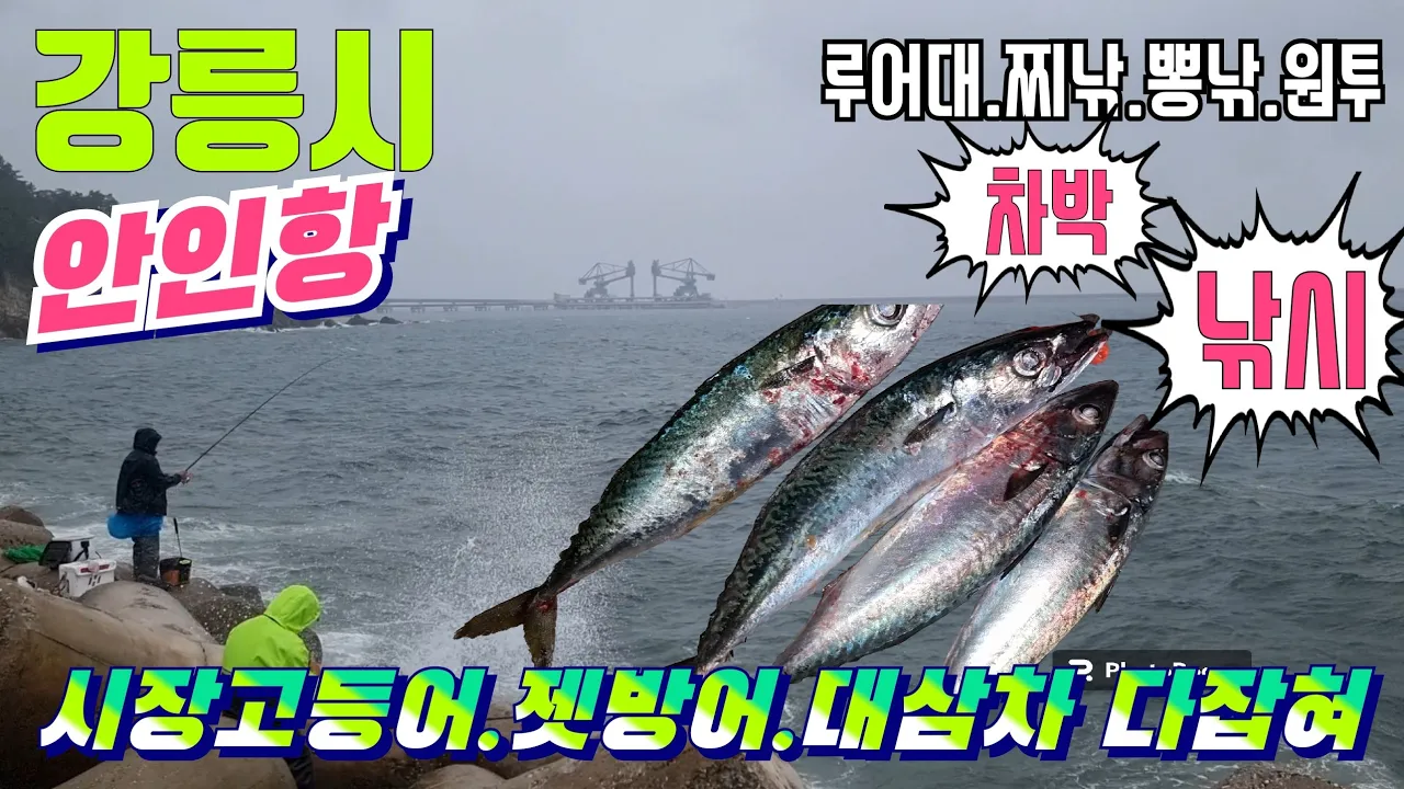 관련 영상 썸네일