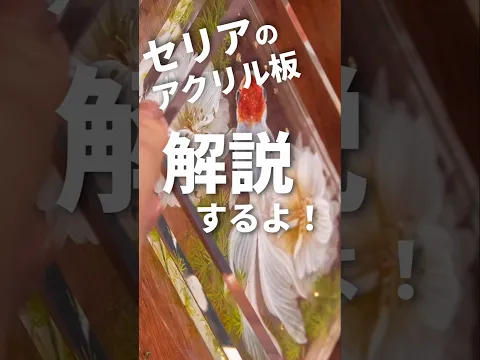 セリアのアクリル板作品を解説します #shorts #art #アナログ #絵 #100均