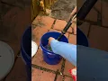 Using mosquito Dunks for effective mosquito control