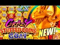 NEW SLOT CRAZY FOR CRAZY STUFFED COINS GOAT TOAD Slot Machine KONAMI GAMING