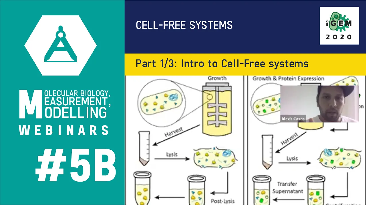 Cell-Free Systems Intro: Advantages vs In Vivo TXTL
