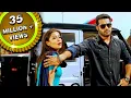 Download जूनियर एनटीआर की होश उड़ा देने वाली धमाकेदार एक्शन सीन | इंस्पेक्टर दया का गुस्सा | Temper Scene mp4 3gp mp3 videos - waplic