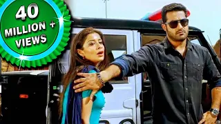 temper scene