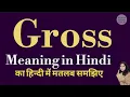 Gross meaning l meaning of gross l gross ka matlab hindi mein kya hota hai l vocabulary