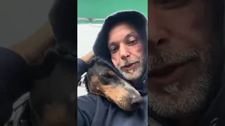 #fyp #pets #dream #doberman #sailing