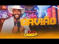 Rasta Chinela - Audiovisual - Gavião