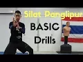 Download Lagu Basic Drills of Silat Panglipur