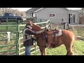 Evaluation of the new J C Martin in skirt rigged wade saddle with Smokie Brannaman