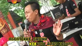 indah andira sakit rindu dangdut official music video 