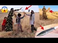 Download Lagu Van Shahla's poging tot onrecht: waarom mishandelde de boer Aref?