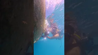 Cleaning Boat Hulls w/ Homemade Robot