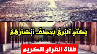 محمد اللحيدان يكاد البرق يخطف ابصارهم 