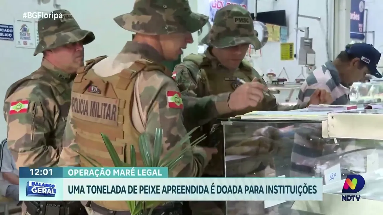 Operação Maré Legal: uma tonelada de peixe apreendida é doada a instituições de caridade