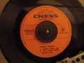 BUDDY GUY - EVERY GIRL I SEE