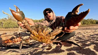 GIANT CRAB - Catch and Cook - BOW n ARROW. Cooking on a camp fire