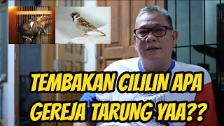 Download TEMBAKAN CILILIN APA GEREJA TARUNG YAA MP3