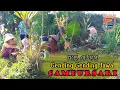 Download Lagu KOLEKSI ALBUM CAMPURSARI SANGKURIANG WOYO WOYO VOL 1 !! VIEW ALAM PERTANIAN  KAB KLATEN JAWA TENGAH
