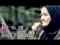 Download Lagu Calin Crisan - Intr-un sat langa o fantana