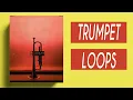 Download Lagu Royalty Free Loop Kit + Sample Pack ( TRUMPET PACK ) | CUMBIA
