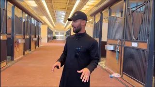 أجمل مربط شفته في حياتي توثيق كامل لجميع تفاصيله  أجمل مربط شفته في حياتي توثيق كامل لجميع تفاصيله