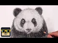 How To Draw a Panda Sketch Tutorial