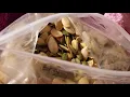 Bogo the rat eating pumpkin seeds