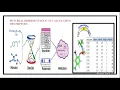 QSAR modelling for drug discovery and hands on training to BuildQSAR tool