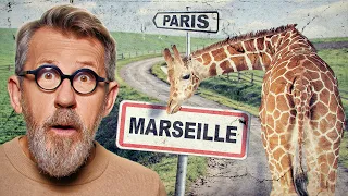 L'animal qui a rendu la France complètement folle !