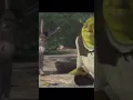 Shrek funny face