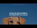 Jesse & Joy — ¿Con quién se queda el perro? [Letra]
