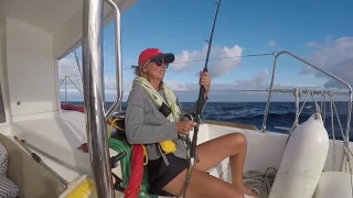 Las Palmas Express.Boating Life. Sailing Ocean Fox Ep 36