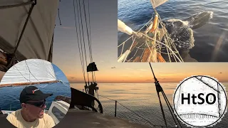 Catspaws  |  Ep. 327