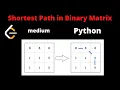 LEETCODE 1091 SHORTEST PATH IN BINARY MATRIX PYTHON Graph bfs facebook interview question