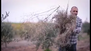 مااحب مساكنك          الحان البطريرك يوسف العبسي دندنها