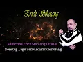 Download Lagu Nonstop Lagu Batak Erick Sihotang 2020