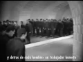 Angelic Upstarts - Solidarity