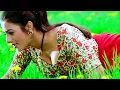 Download Lagu Pyar Mein Dil De Diya Maine Tujhko Dil Jani ((( Jhankar ))) Anari (1993) Alka Yagnik, Kumar Sanu