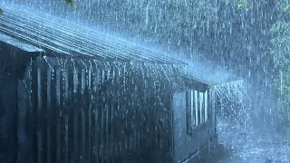 Sleep Recovery with Forceful Rain & Murmuring Thunder on a Metal Roof in Distant Forest at Night