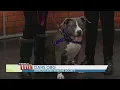 Oshkosh Humane Society