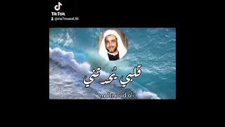 روائع النقشبندي قلبي يحدثني بأنك متلفي دندنها