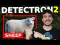 Train detectron2 object detection custom data Computer vision tutorial
