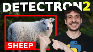 Train detectron2 object detection custom data Computer vision tutorial