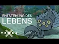 Download Lagu Eine neue Welt entsteht | Terra X