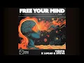 Download Lagu Tiësto x Lucas \u0026 Steve - Free Your Mind
